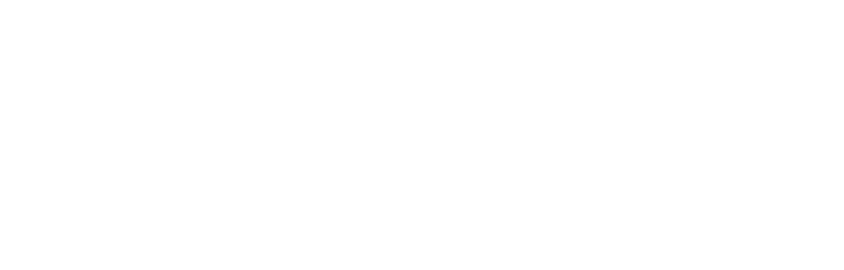 RADIUS Projekt